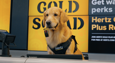 Hertz